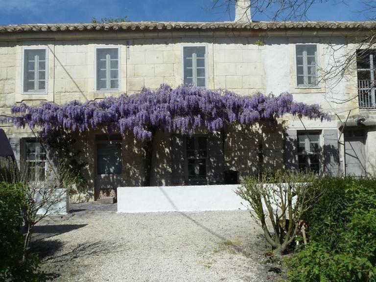 Mas De La Forge Holiday home *